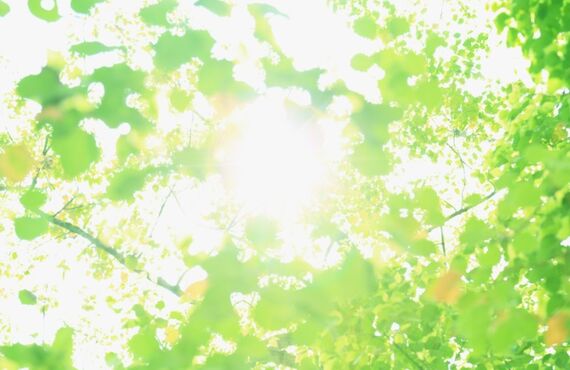 解体工事なら、元ハウスメーカー出身の㈱GOYOUにお任せ！